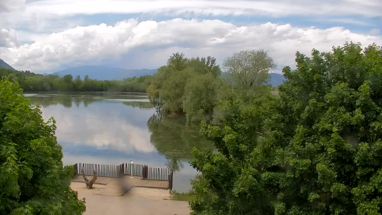 Webcam Ribnik Vrbje – Žalec