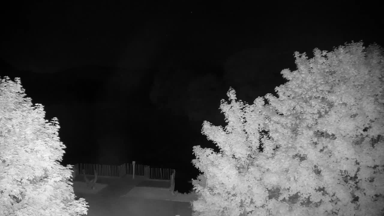 Webcam Ribnik Vrbje – Žalec