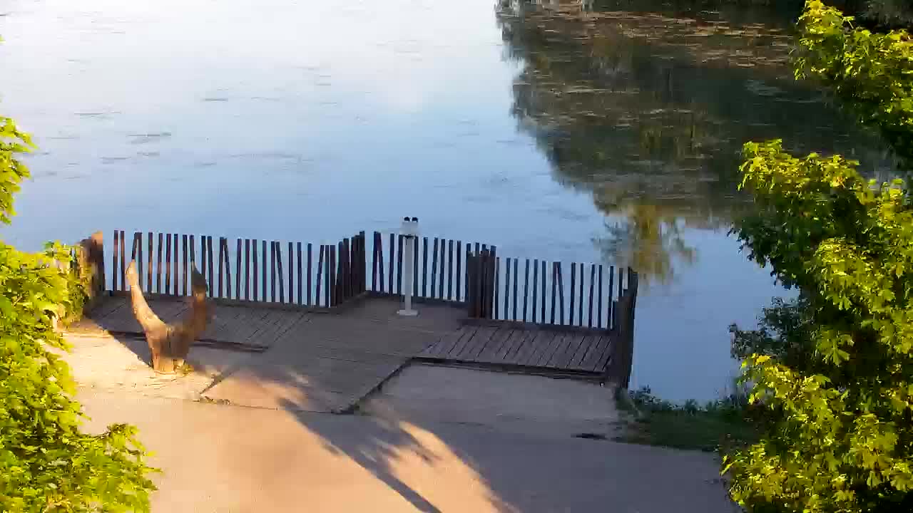 Webcam Ribnik Vrbje – Žalec