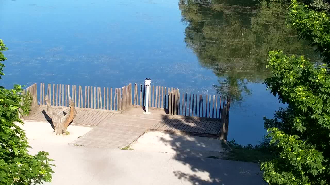 Webcam Ribnik Vrbje – Žalec