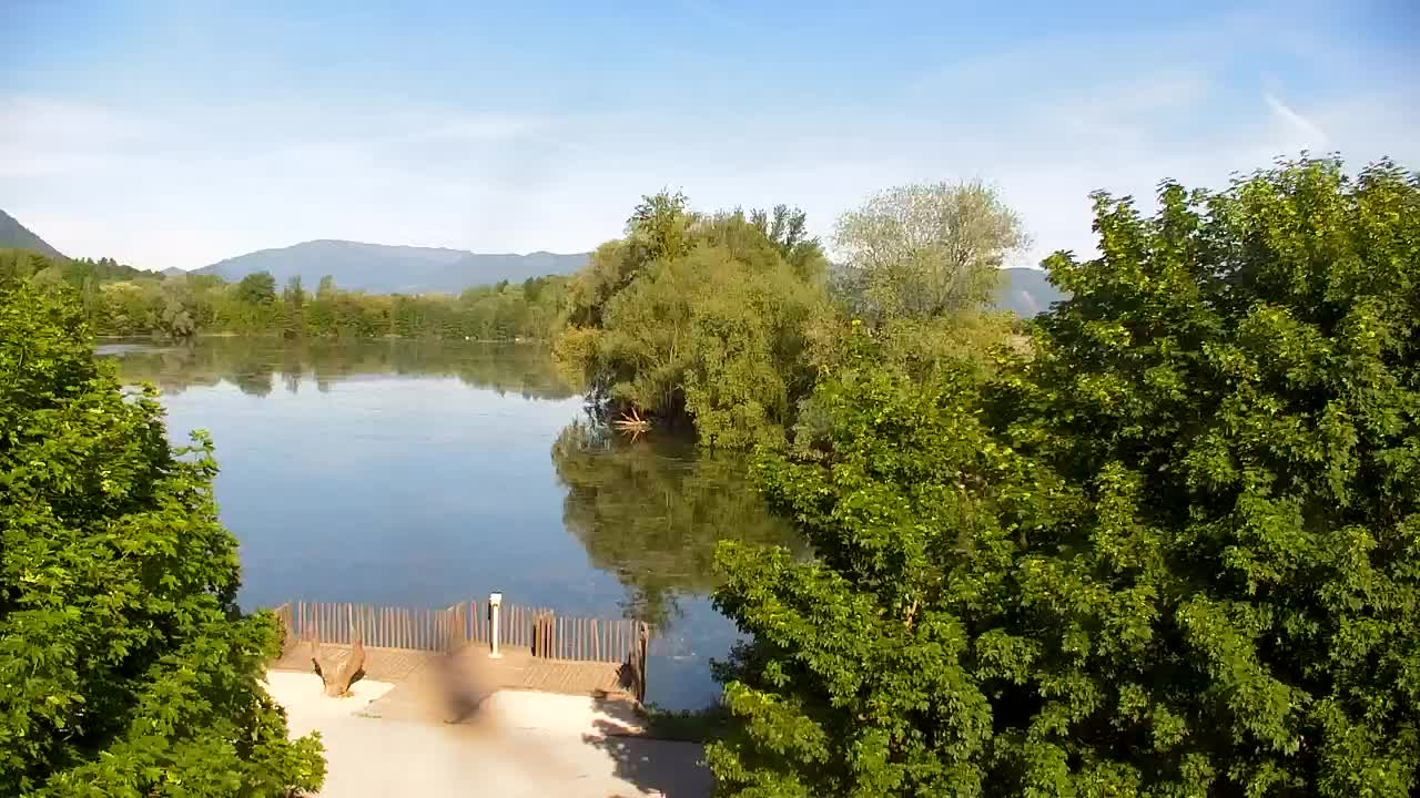 Spletna kamera Ribnik Vrbje – Žalec