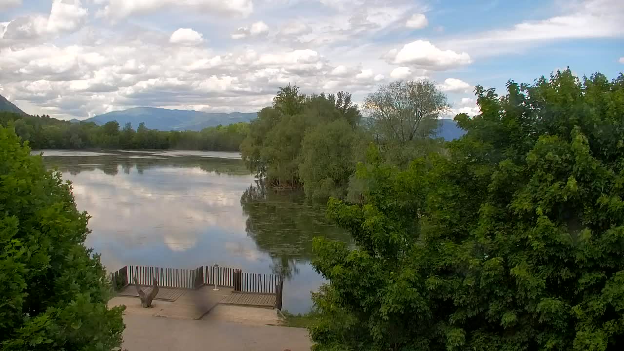 Webcam Ribnik Vrbje – Žalec