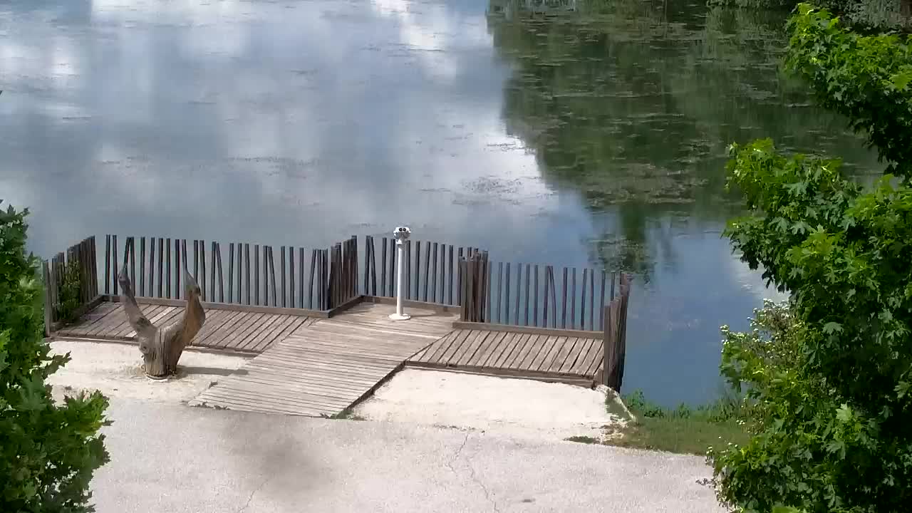 Webcam Ribnik Vrbje – Žalec