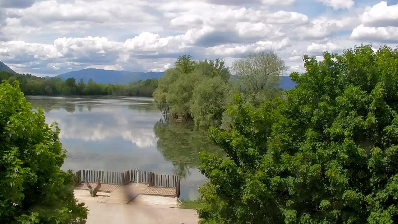 Webcam Ribnik Vrbje – Žalec