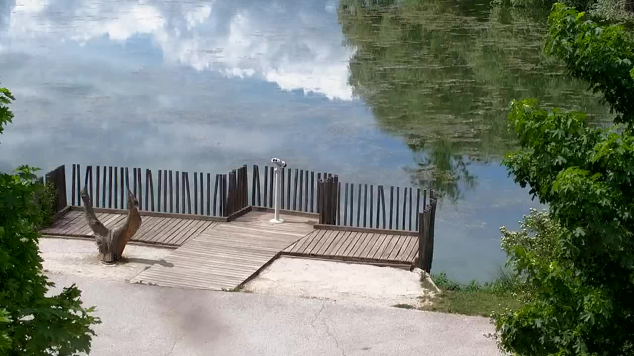 Webcam Ribnik Vrbje – Žalec