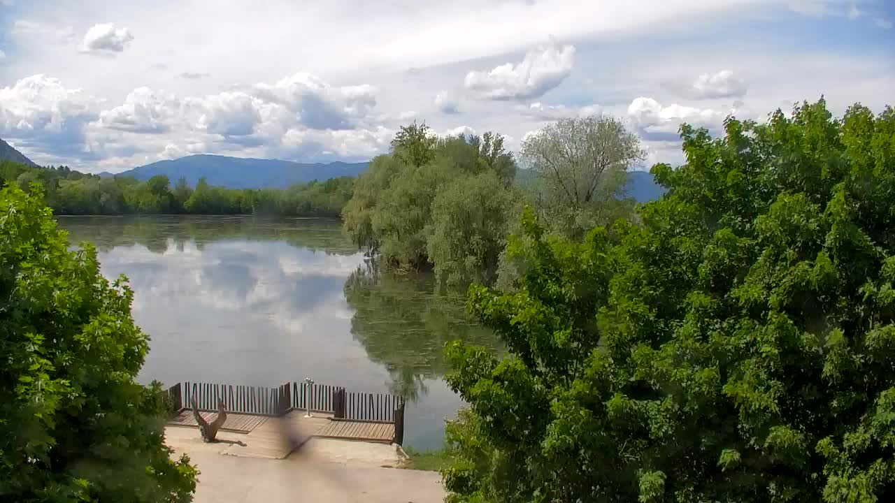 Webcam Ribnik Vrbje – Žalec