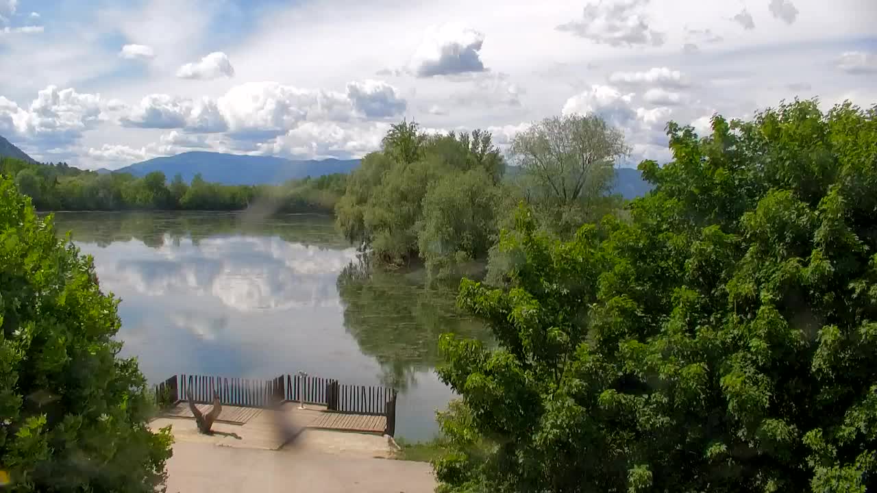 Webcam Ribnik Vrbje – Žalec