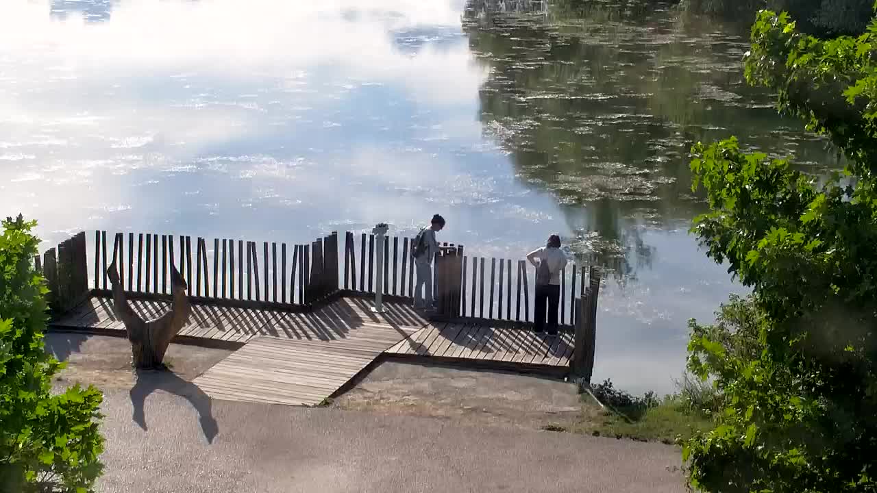 Spletna kamera Ribnik Vrbje – Žalec