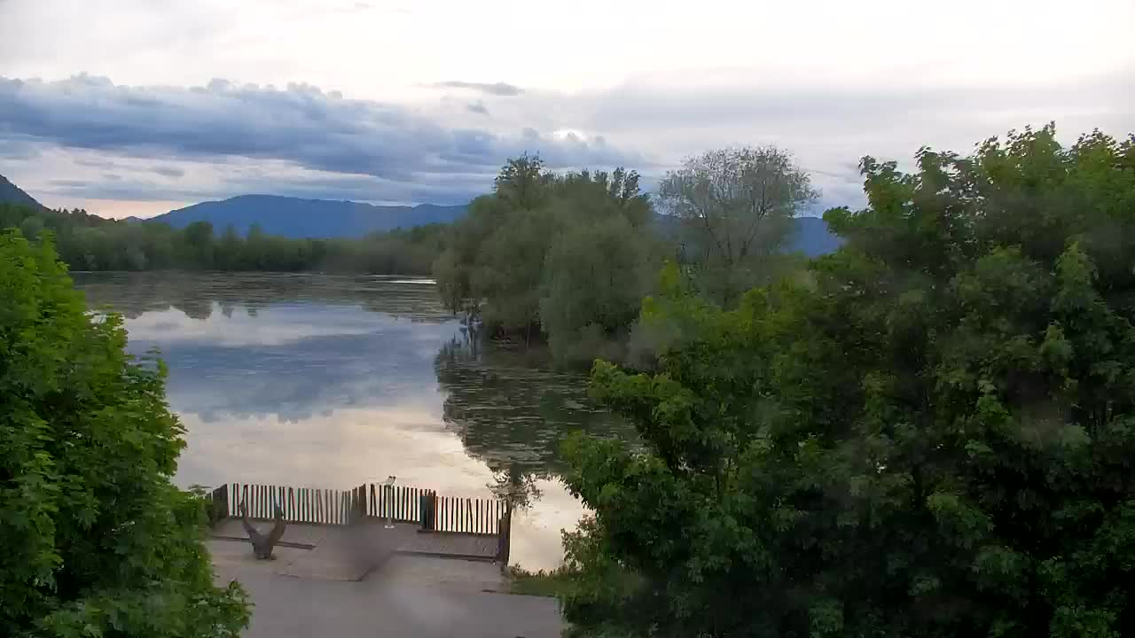 Spletna kamera Ribnik Vrbje – Žalec