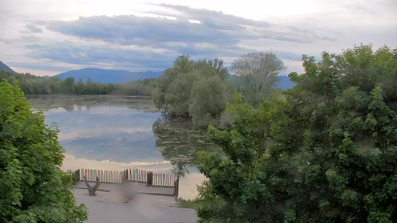 Webcam Ribnik Vrbje – Žalec