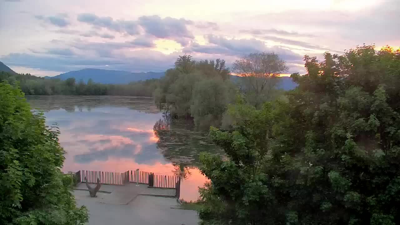 Webcam Ribnik Vrbje – Žalec