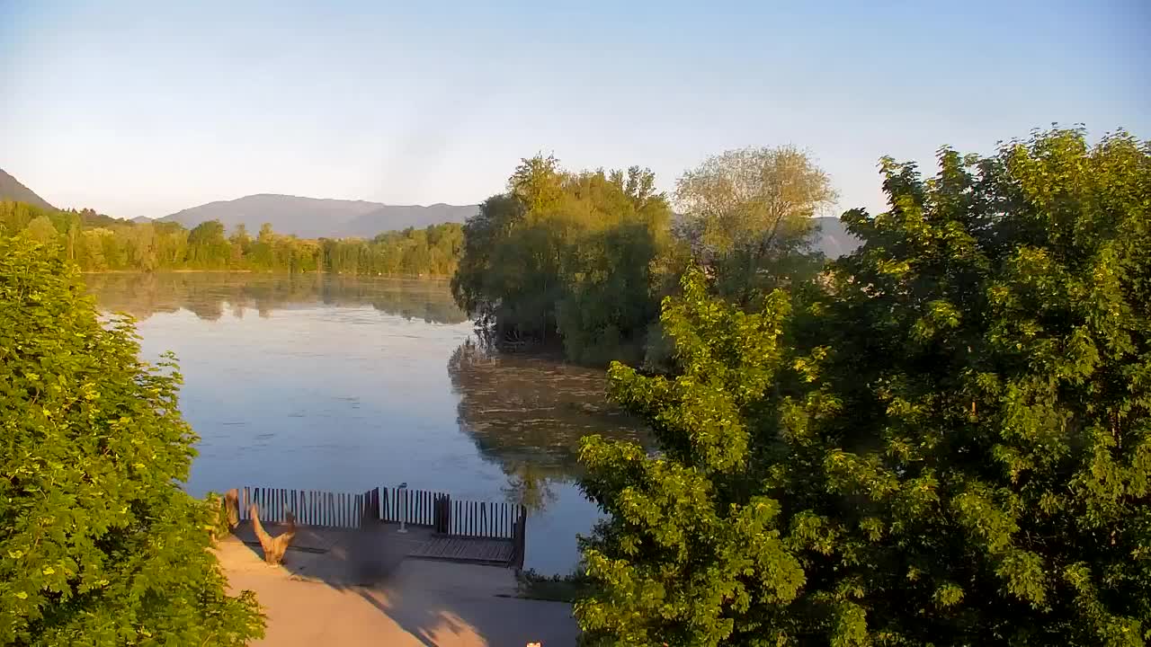 Webcam Ribnik Vrbje – Žalec