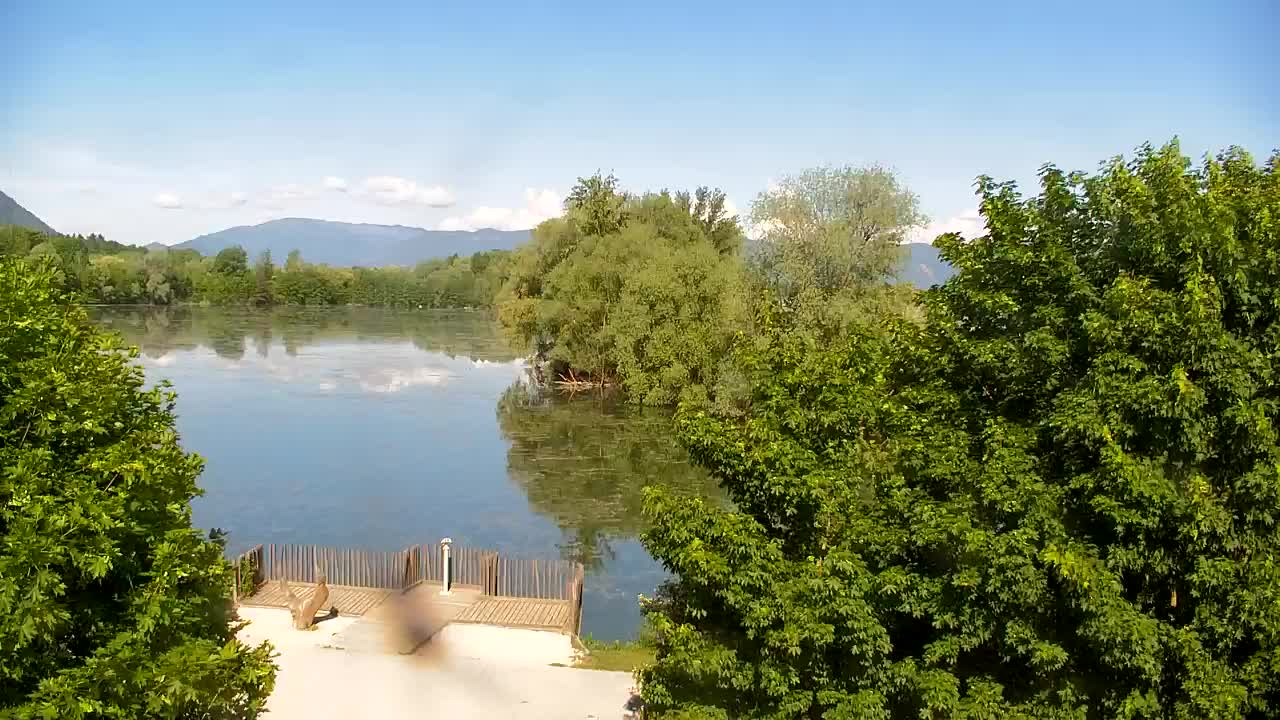 Web kamera Ribnik Vrbje – Žalec