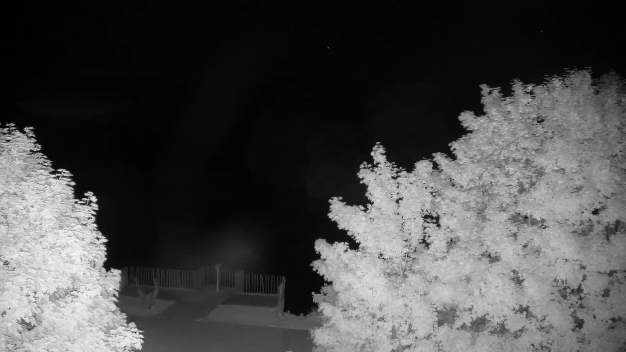 Webcam Ribnik Vrbje – Žalec