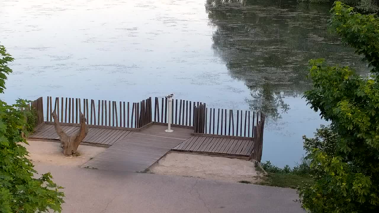 Webcam Ribnik Vrbje – Žalec