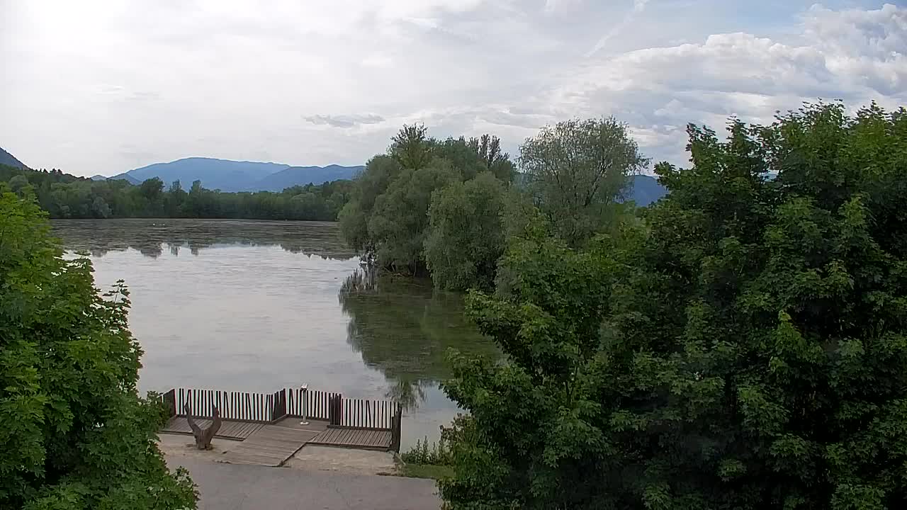 Webcam Ribnik Vrbje – Žalec