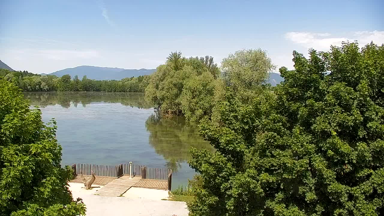 Webcam Ribnik Vrbje – Žalec