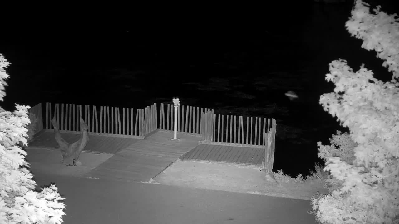 Webcam Ribnik Vrbje – Žalec
