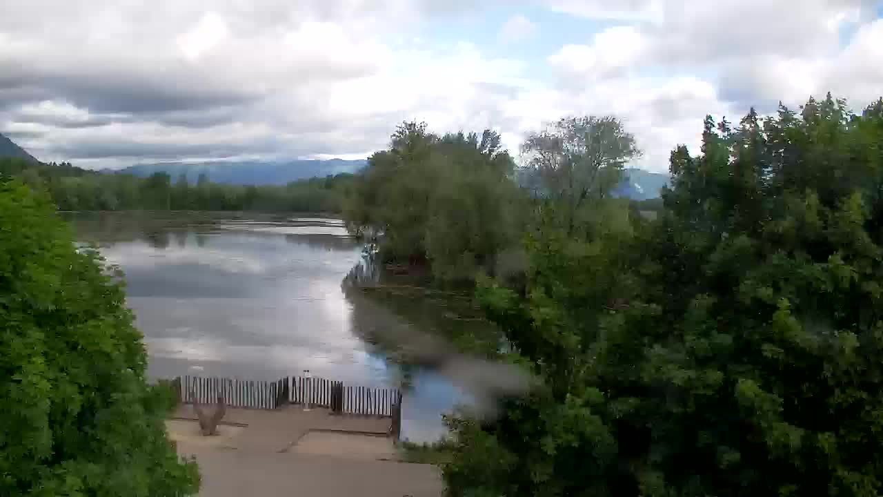 Webcam Ribnik Vrbje – Žalec