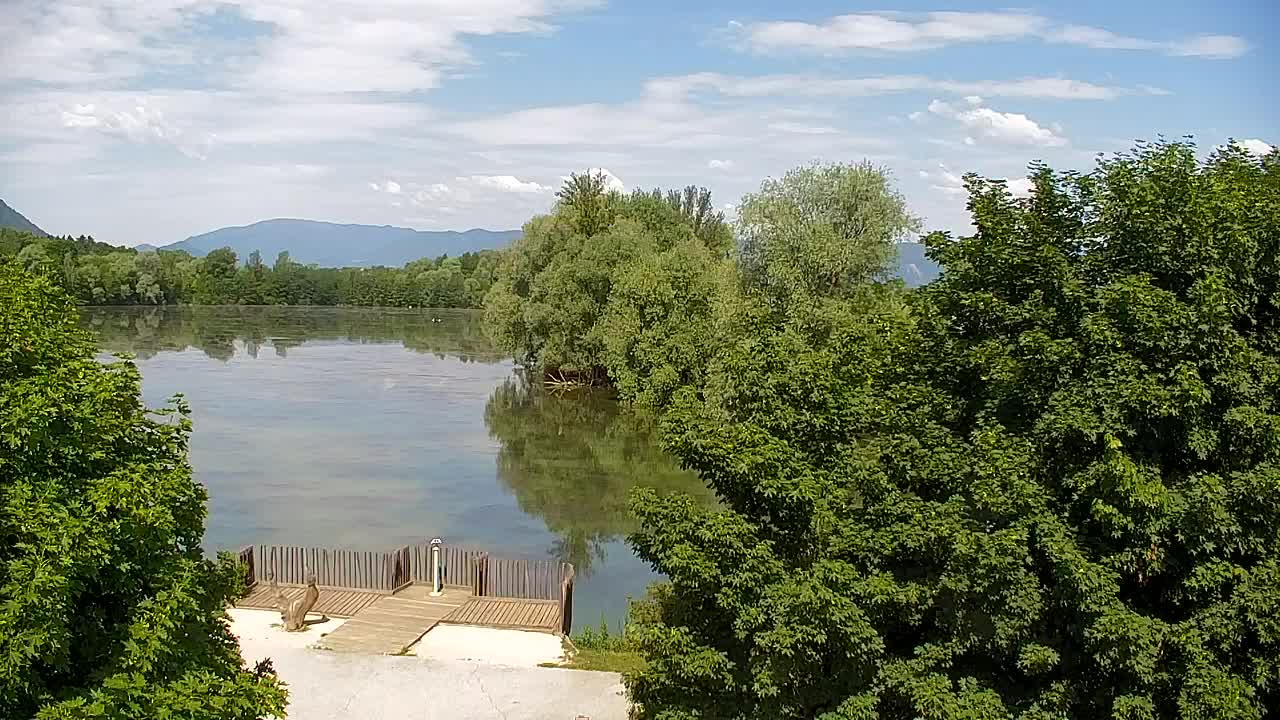 Webcam Ribnik Vrbje – Žalec