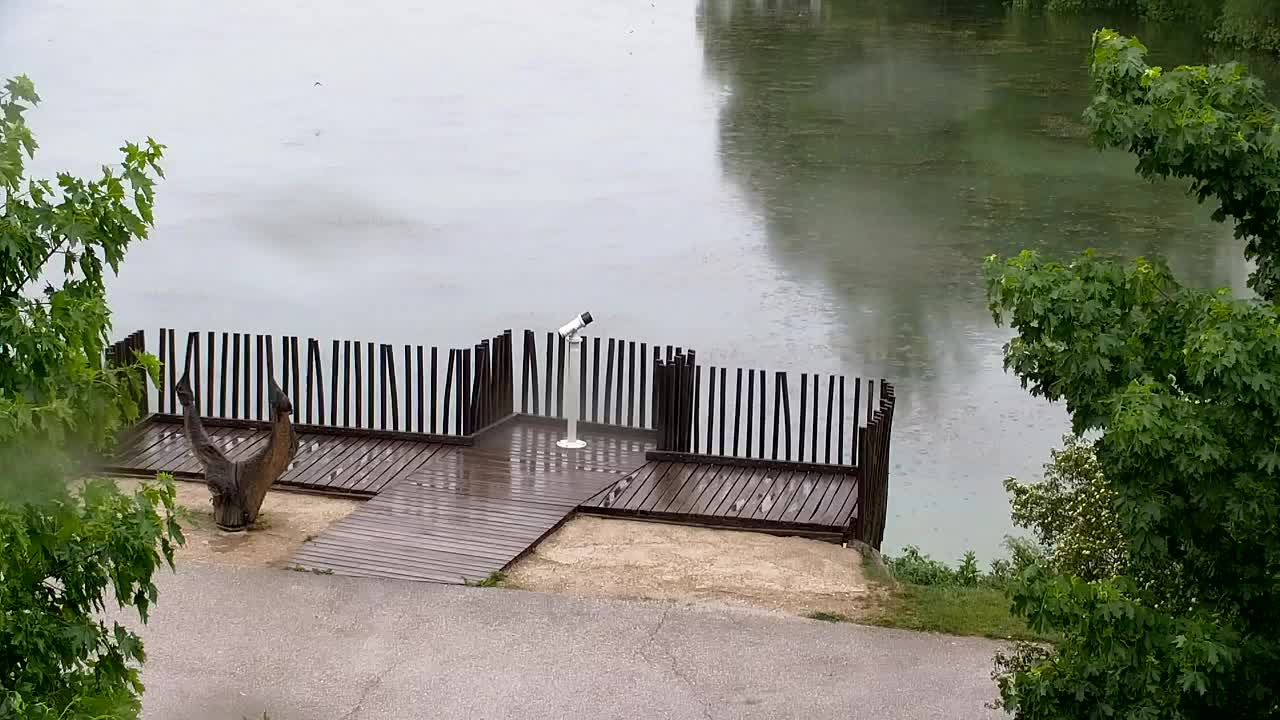 Webcam Ribnik Vrbje – Žalec