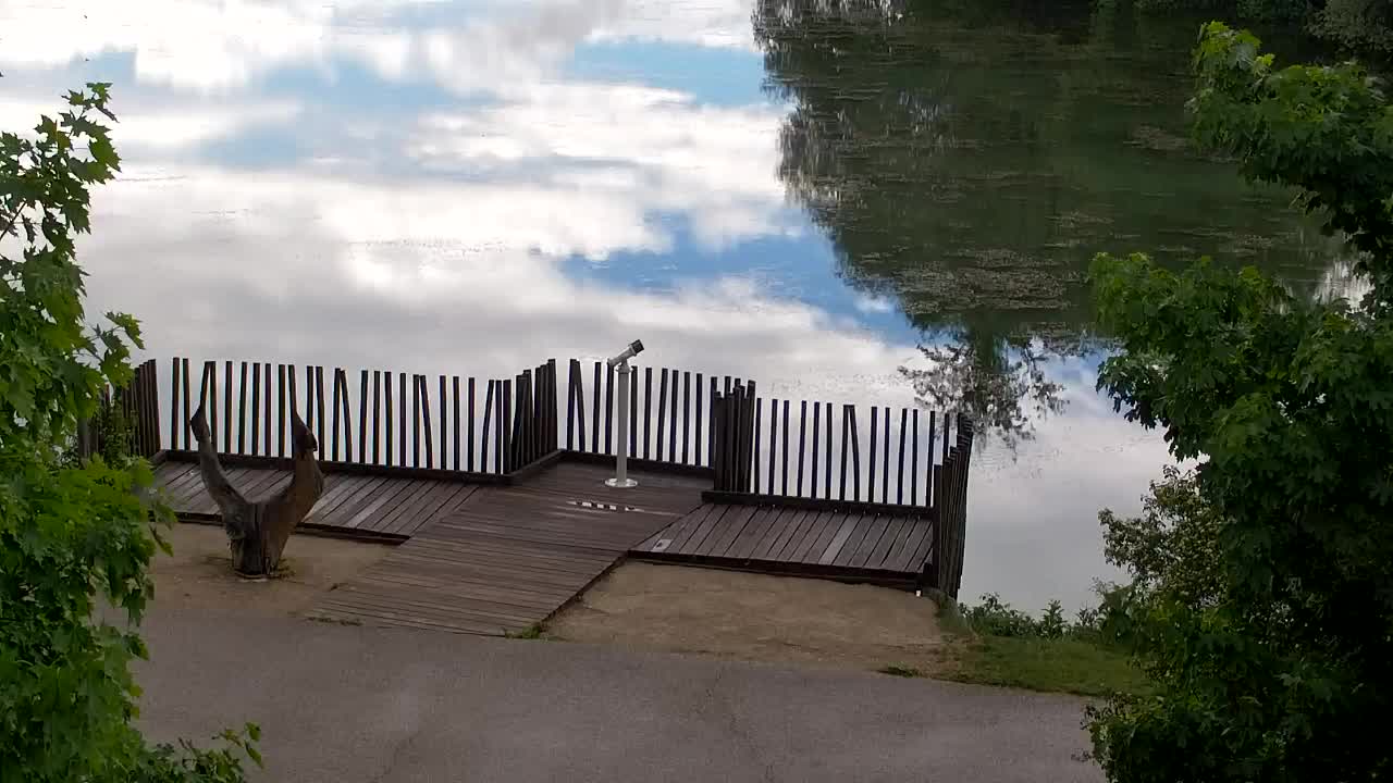 Spletna kamera Ribnik Vrbje – Žalec