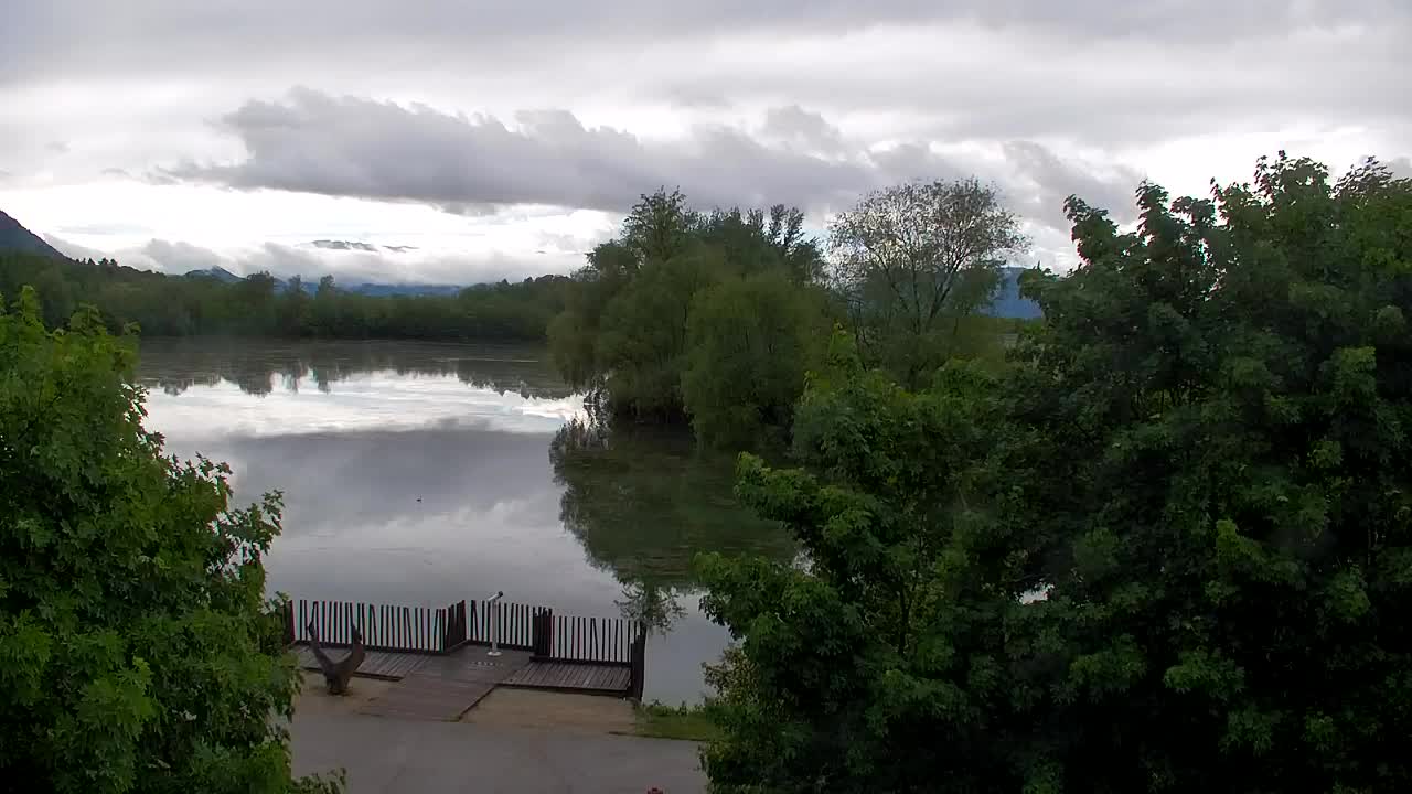 Webcam Ribnik Vrbje – Žalec