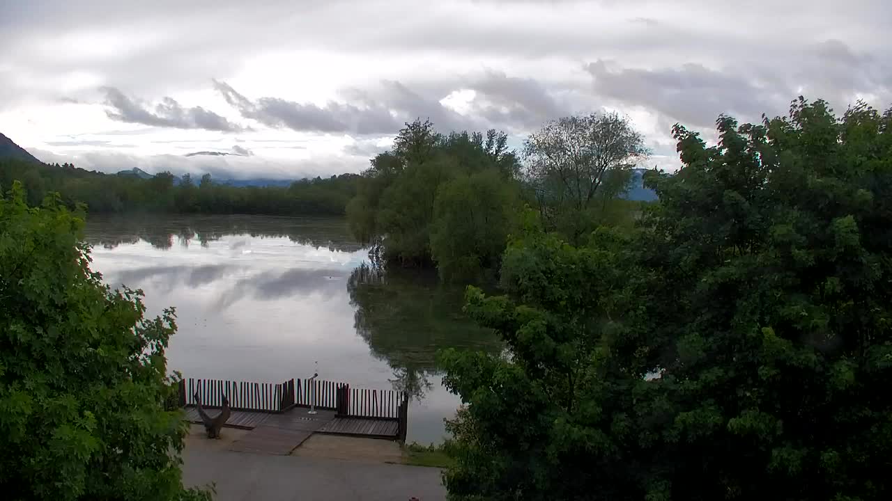 Webcam Ribnik Vrbje – Žalec
