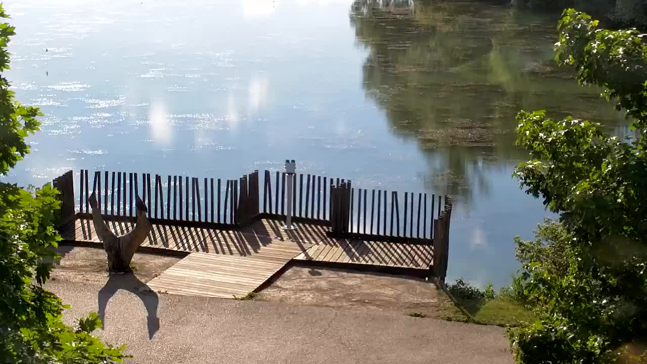 Spletna kamera Ribnik Vrbje – Žalec