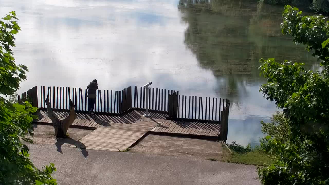 Webcam Ribnik Vrbje – Žalec