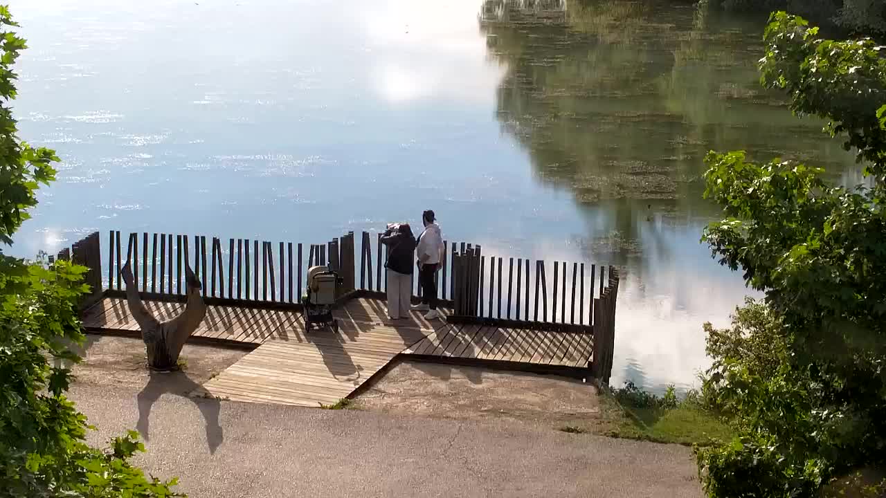 Web kamera Ribnik Vrbje – Žalec