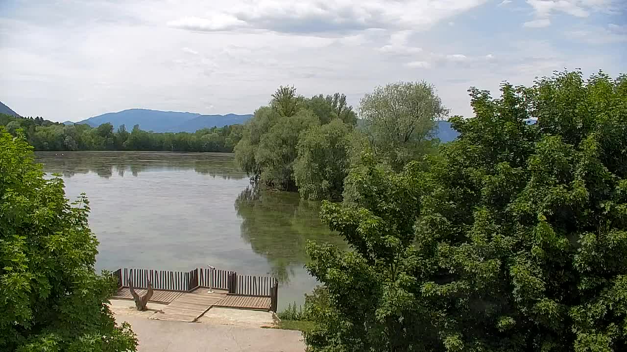 Webcam Ribnik Vrbje – Žalec