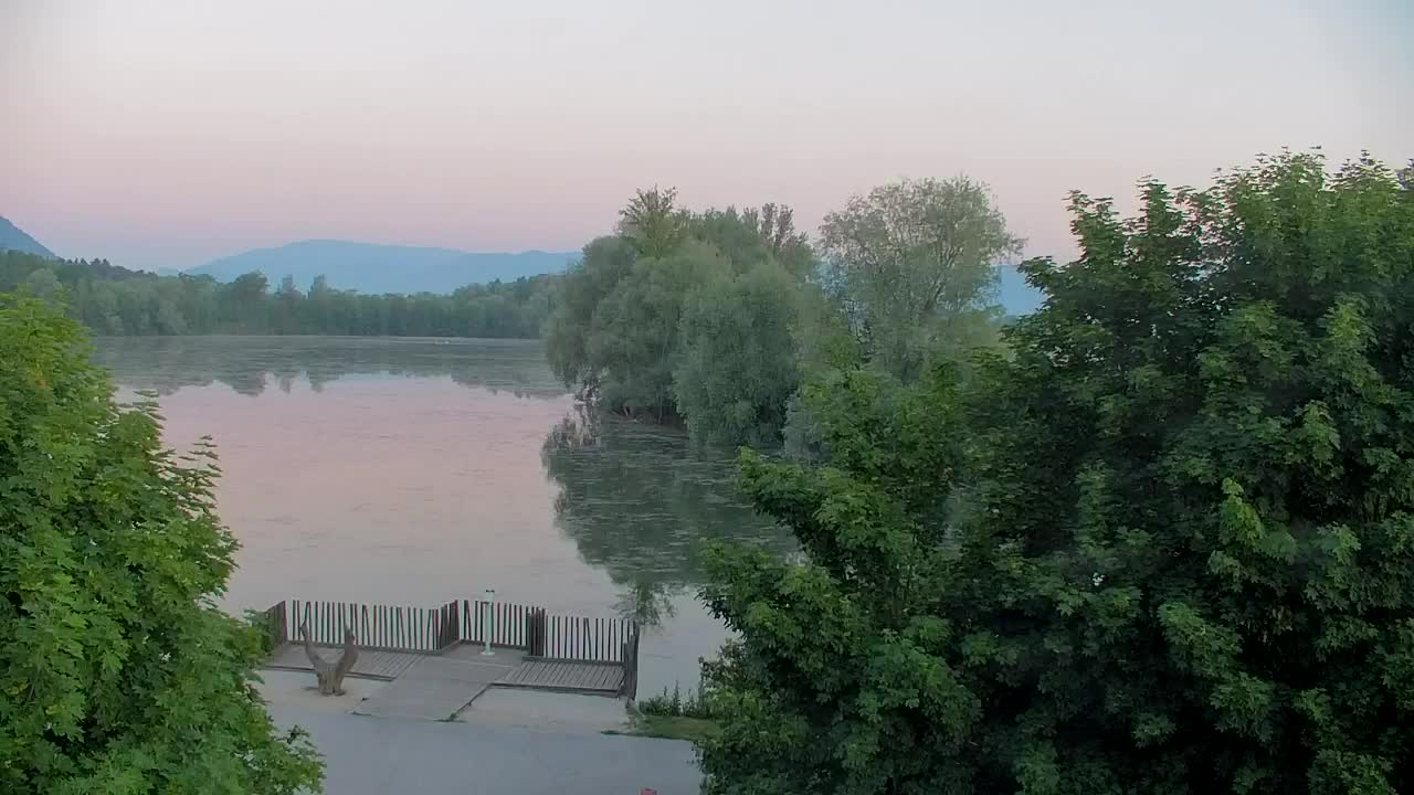 Webcam Ribnik Vrbje – Žalec