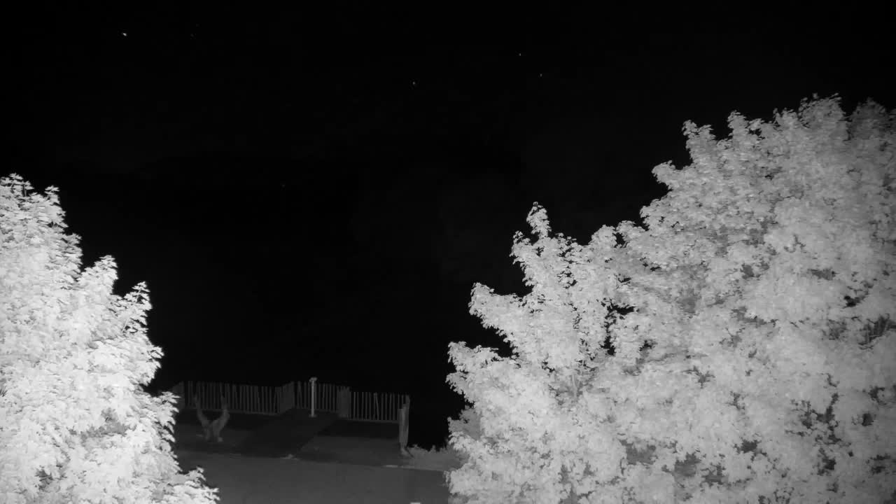 Webcam Ribnik Vrbje – Žalec