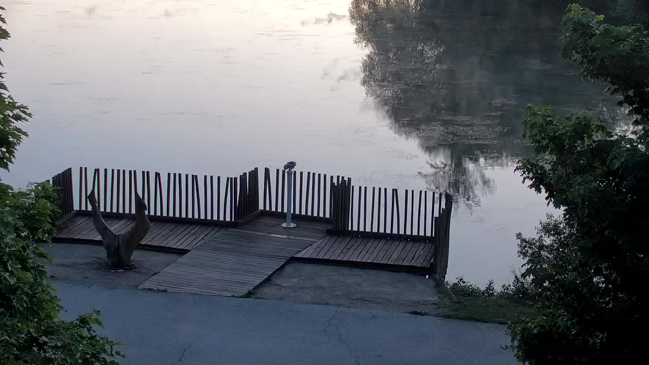 Webcam Ribnik Vrbje – Žalec