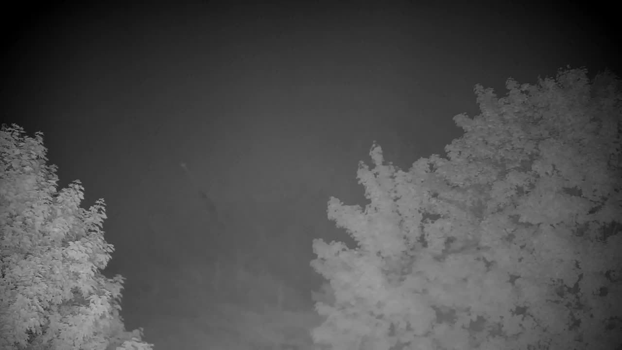 Webcam Ribnik Vrbje – Žalec