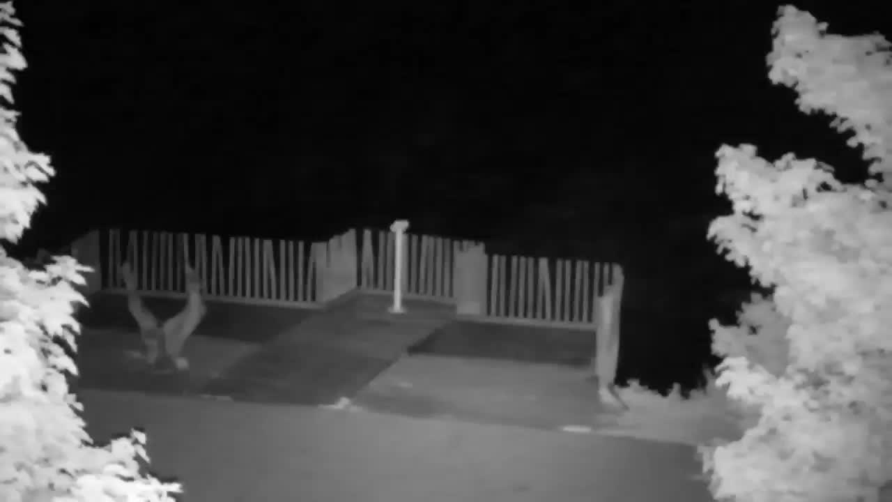 Spletna kamera Ribnik Vrbje – Žalec