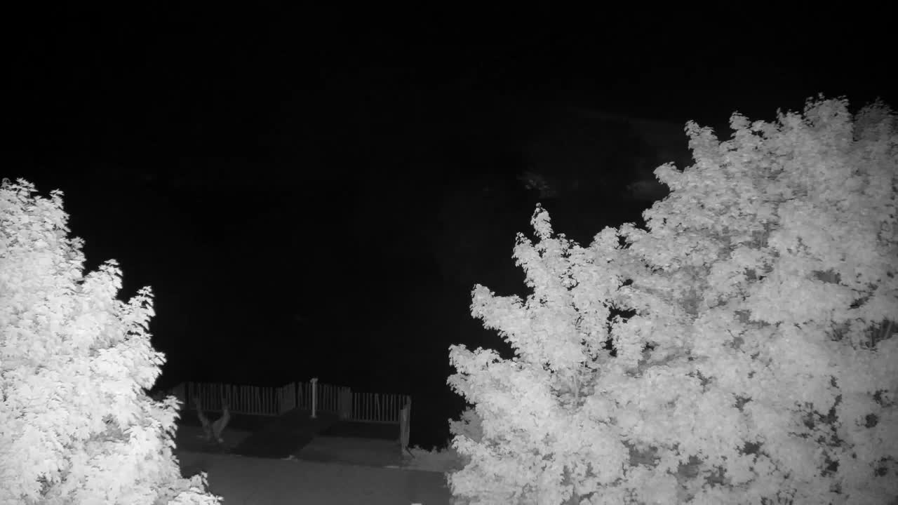 Webcam Ribnik Vrbje – Žalec