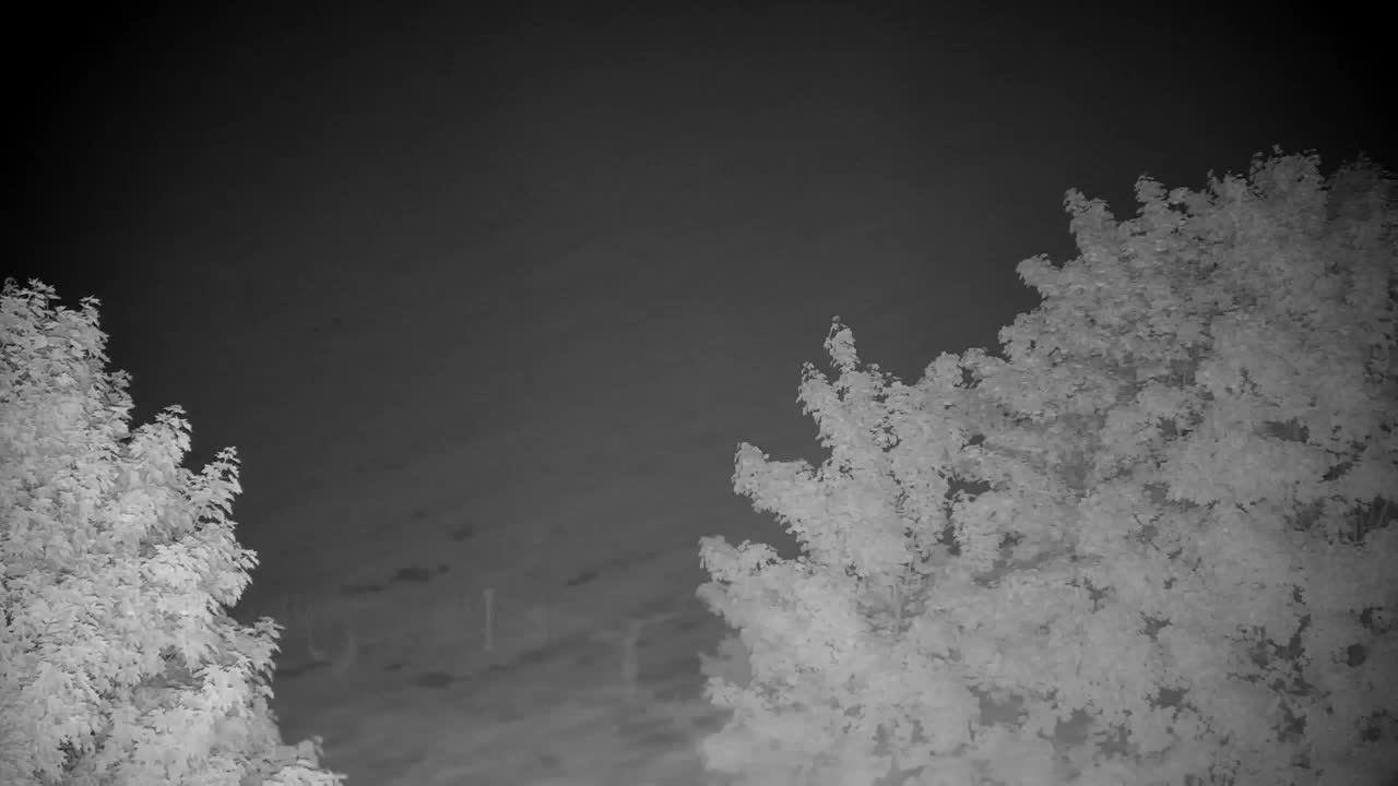 Webcam Ribnik Vrbje – Žalec