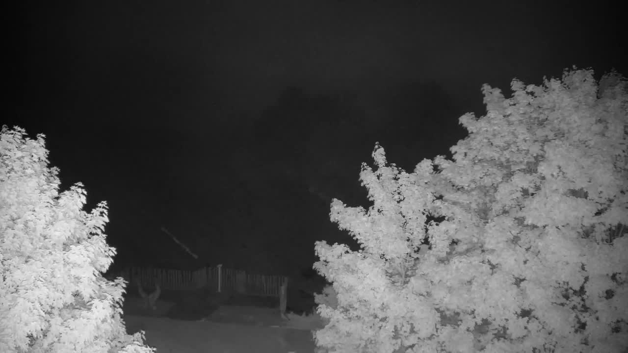 Spletna kamera Ribnik Vrbje – Žalec