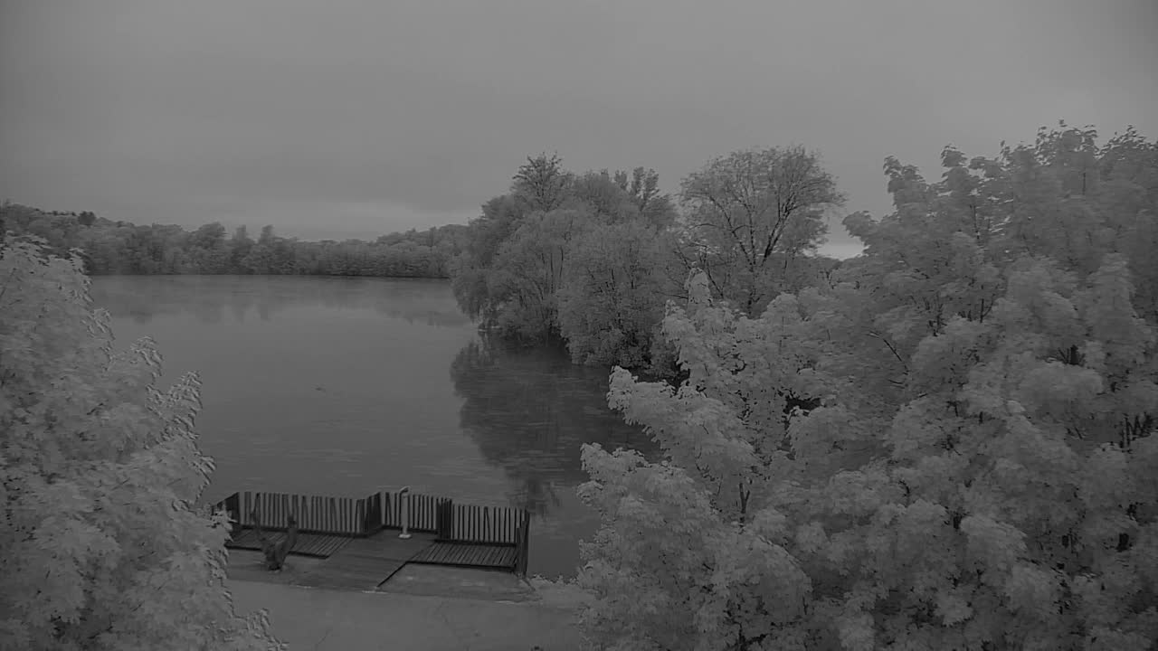 Webcam Ribnik Vrbje – Žalec