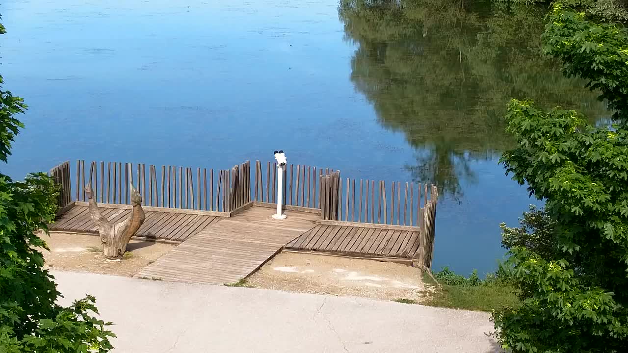 Webcam Ribnik Vrbje – Žalec