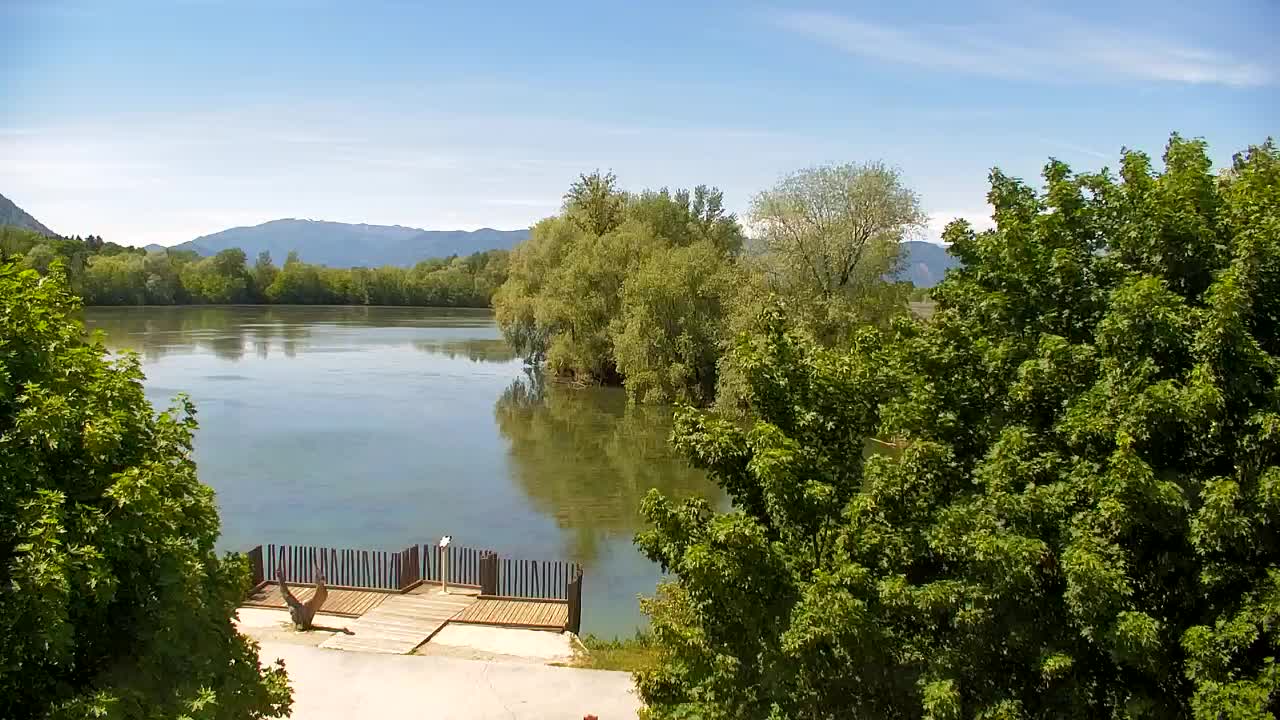 Webcam Ribnik Vrbje – Žalec