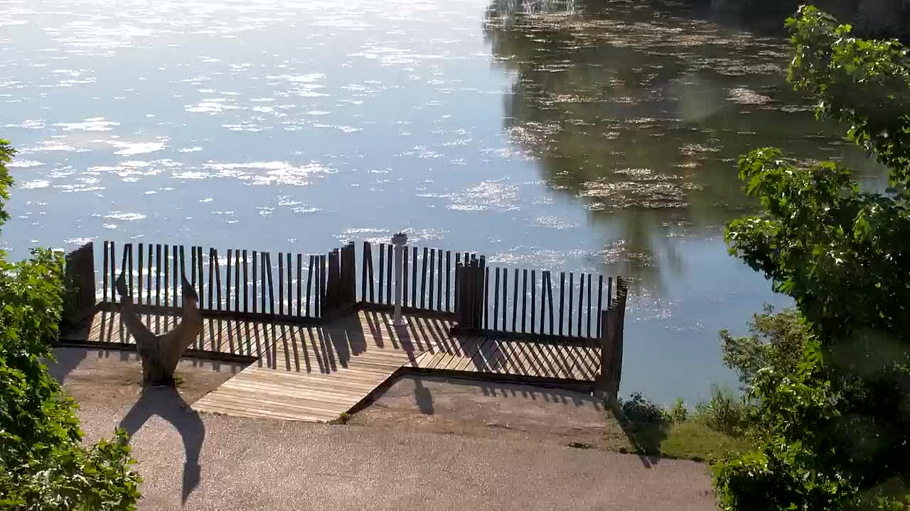 Webcam Ribnik Vrbje – Žalec