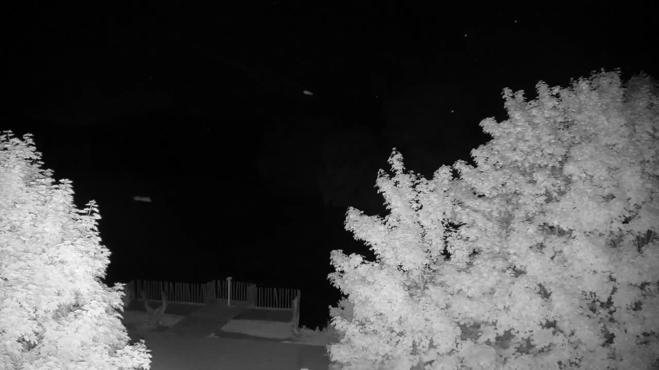 Webcam Ribnik Vrbje – Žalec