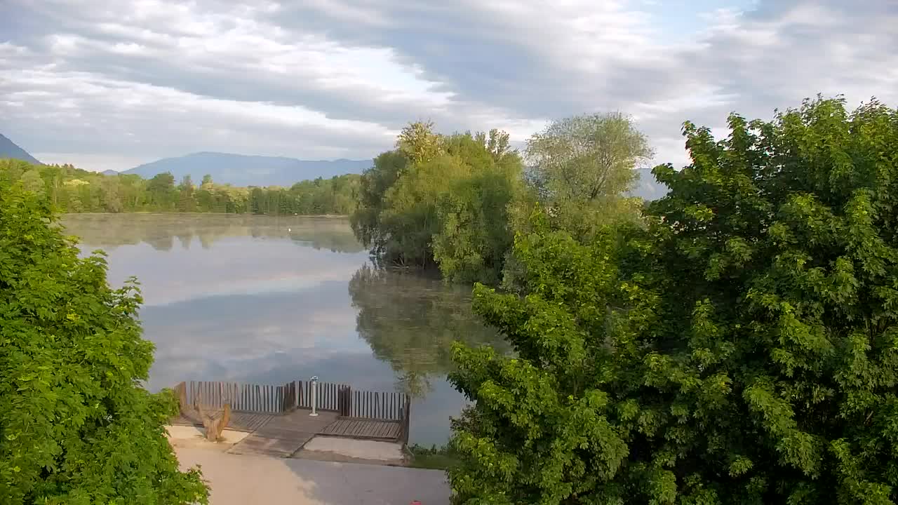 Web kamera Ribnik Vrbje – Žalec