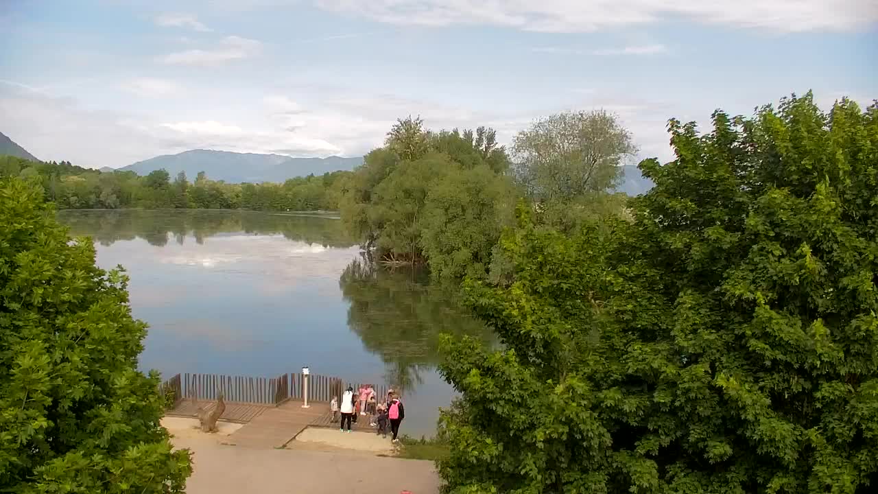 Spletna kamera Ribnik Vrbje – Žalec