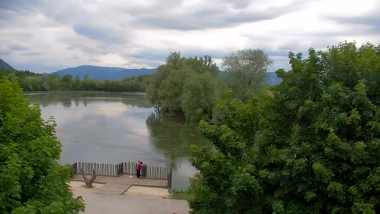 Web kamera Ribnik Vrbje – Žalec