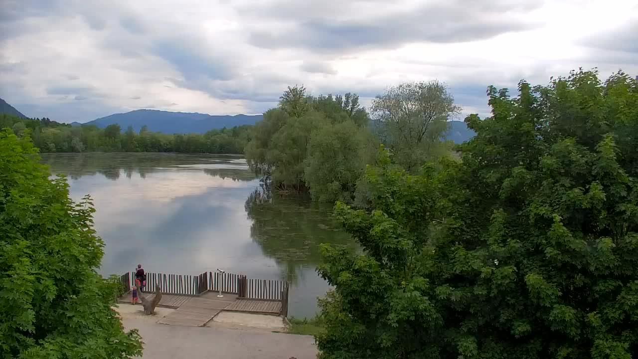 Web kamera Ribnik Vrbje – Žalec