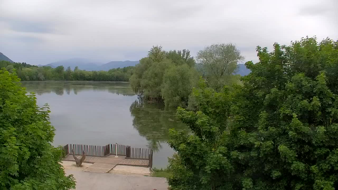 Web kamera Ribnik Vrbje – Žalec